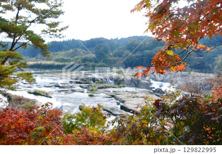 鹿児島県伊佐市・紅葉越しの曽木の滝 鹿児島県伊佐市・紅葉越しの曽木の滝 129822995