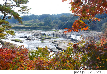 鹿児島県伊佐市・紅葉越しの曽木の滝 129822998