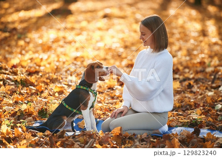 Side view, playing. Woman is with her cute dog in the autumn forest 129823240