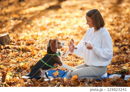 Side view, playing. Woman is with her cute dog in the autumn forest Side view, playing. Woman is with her cute dog in the autumn forest 129823241