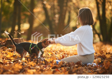 Weekend activities. Woman is with her cute dog in the autumn forest 129823250