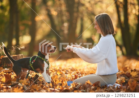 Weekend activities. Woman is with her cute dog in the autumn forest Weekend activities. Woman is with her cute dog in the autumn forest 129823251