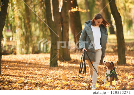 Walking together. Woman is with her cute dog in the autumn forest Walking together. Woman is with her cute dog in the autumn forest 129823272