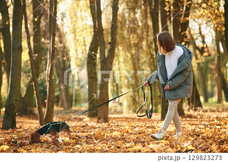 Walking together. Woman is with her cute dog in the autumn forest Walking together. Woman is with her cute dog in the autumn forest 129823273