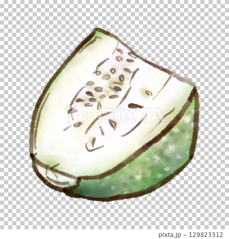 カットした冬瓜のイラスト（墨絵風） 129823312