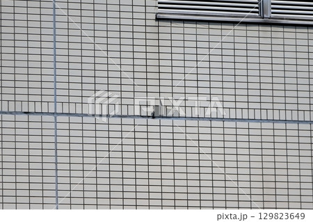 外壁タイルのひび割れ　イメージ 129823649