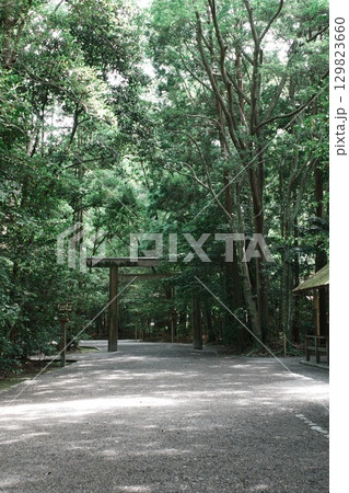 緑に囲まれた道 129823660