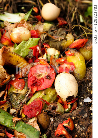 vertical image of organic food trash being added to a compost pile. The photo, with a focus on a red tomato and green scraps, is a powerful symbol of sustainability and recycling rubbish vertical image of organic food trash being added to a compost pile. The photo, with a focus on a red tomato and green scraps, is a powerful symbol of sustainability and recycling rubbish 129823783