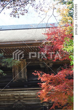 京都　三尾　高雄山　神護寺　紅葉が美しい楼門 (京都府京都市右京区） 129823995