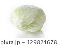 キャベツ 129824678
