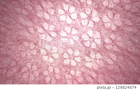 透ける日本の和紙　 129824874