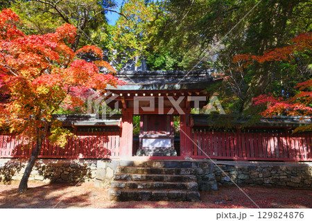 京都 三尾 高雄山 神護寺 和気公霊廟と鮮やかな紅葉 (京都府京都市右京区) 京都 三尾 高雄山 神護寺 和気公霊廟と鮮やかな紅葉 (京都府京都市右京区) 129824876