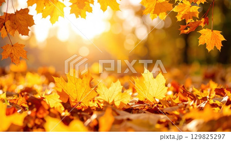 《AI画像》秋の光に照らされた紅葉した公園の落ち葉 129825297
