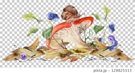 Russula cortinarius webcap mushroom, crawling snail on cap, blueberry blackberry berries twigs on top of fallen autumn leaves pile. Forest floor. Fungi natural illustration hand drawn in watercolor. Russula cortinarius webcap mushroom, crawling snail on cap, blueberry blackberry berries twigs on top of fallen autumn leaves pile. Forest floor. Fungi natural illustration hand drawn in watercolor. 129825313