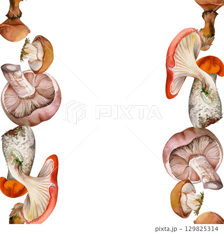 Bolete cep russula suillus mushroom fungi hand drawn in watercolor, autumn forest harvest, edible raw ingredient for vegan cooking. Seamless double banner. Menu list accents, farmers market wrapping Bolete cep russula suillus mushroom fungi hand drawn in watercolor, autumn forest harvest, edible raw ingredient for vegan cooking. Seamless double banner. Menu list accents, farmers market wrapping 129825314