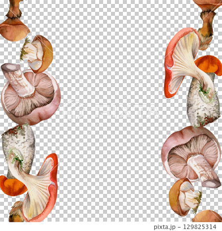 Bolete cep russula suillus mushroom fungi hand drawn in watercolor, autumn forest harvest, edible raw ingredient for vegan cooking. Seamless double banner. Menu list accents, farmers market wrapping 129825314