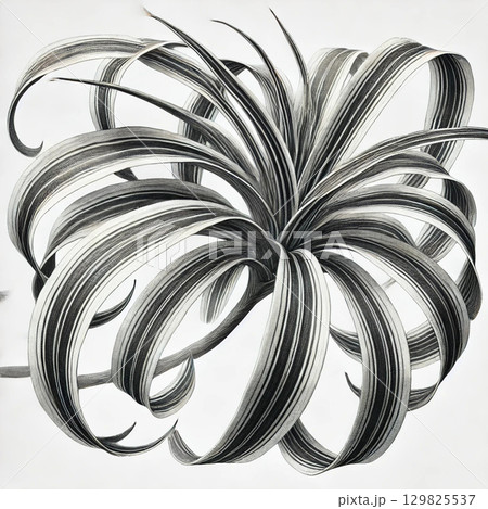 Spiral Serenity 129825537