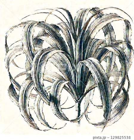 Frayed Elegance Frayed Elegance 129825538