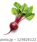 Fresh whole beet  element design concept 129826122