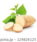 Fresh white sweet potato element design 129826125