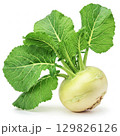 Fresh turnip vegetable isolated on white 129826126