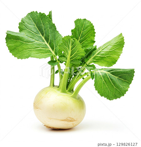 Fresh turnip vegetable element design 129826127