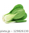 Fresh bok choy vegetable element design 129826130