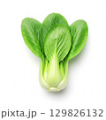 Fresh bok choy vegetable element 129826132