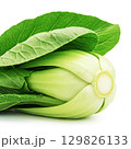 Fresh bok choy vegetable background 129826133