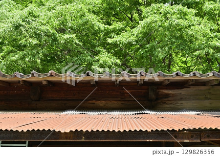 佐渡金山の機械工場別棟の歴代所有者の紋入り瓦 129826356