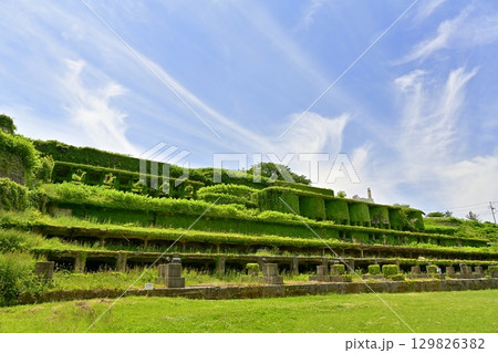 佐渡金山北沢浮遊選鉱場跡 129826382