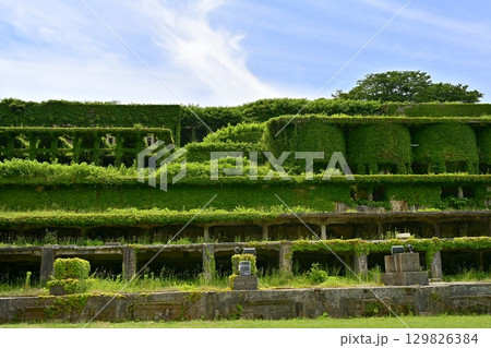 佐渡金山北沢浮遊選鉱場跡 129826384