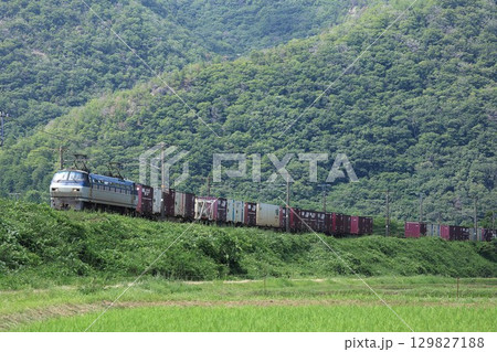 【JR貨物】EF66形100番台(山陽本線:上郡〜三石) 【JR貨物】EF66形100番台(山陽本線:上郡〜三石) 129827188