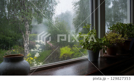 Rainy day view from a cozy window with greenery 129827353