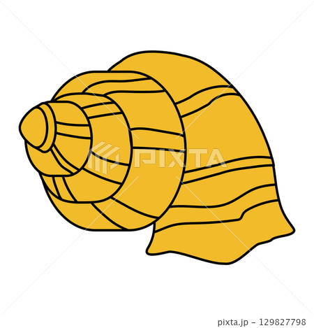 Sea shell cartoon. Tropical ocean exotic underwater seashell Sea shell cartoon. Tropical ocean exotic underwater seashell 129827798