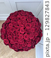 Large bouquet of red roses arranged in round shape. 129827843