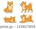 可愛い柴犬のイラストセット 129827858