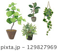 植木鉢に植えた観葉植物　インドアグリーンのイラストセット 129827969