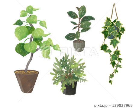 植木鉢に植えた観葉植物　インドアグリーンのイラストセット 129827969
