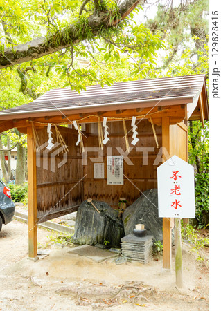 鳥飼八幡宮 不老水 鳥飼八幡宮 不老水 129828416