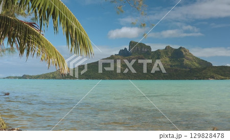 Verdant mount otemano rising from crystal-clear turquoise lagoon, framed by swaying palm leaves against cerulean sky with fluffy white clouds in French Polynesia's pristine landscape 129828478