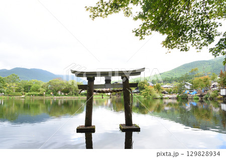 初夏の大分県・湯布院の金鱗湖と鳥居 初夏の大分県・湯布院の金鱗湖と鳥居 129828934
