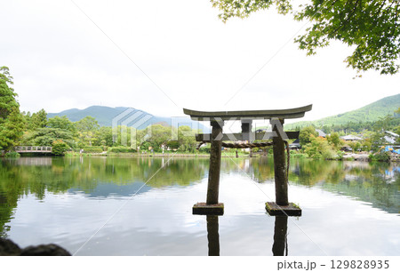 初夏の大分県・湯布院の金鱗湖と鳥居 初夏の大分県・湯布院の金鱗湖と鳥居 129828935