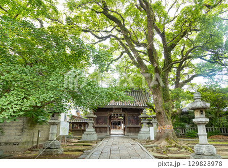 鳥飼八幡宮 表参道と楼門 鳥飼八幡宮 表参道と楼門 129828978