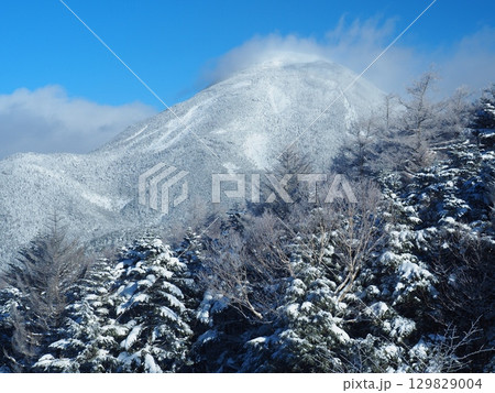 ピラタススキー場から望む冬の蓼科山 129829004