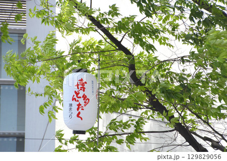 博多どんたくの提灯と新緑 博多どんたくの提灯と新緑 129829056