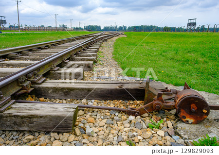 Auschwitz-Birkenau Railway Tracks Auschwitz-Birkenau Railway Tracks 129829093
