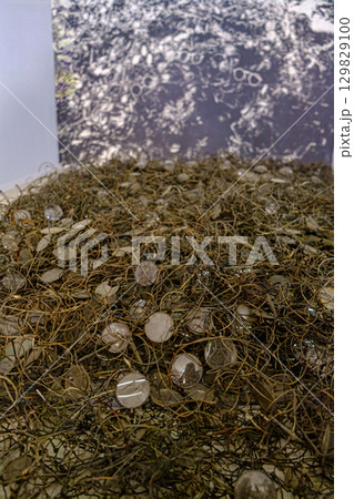 Pile of Eyeglasses at Auschwitz Museum Pile of Eyeglasses at Auschwitz Museum 129829100