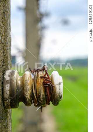 Ceramic Insulator on a Concrete Fence Post 129829102