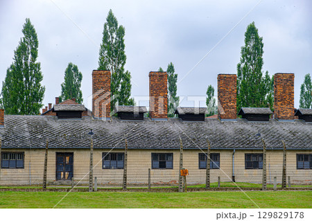 Barracks and Chimneys at Auschwitz I 129829178